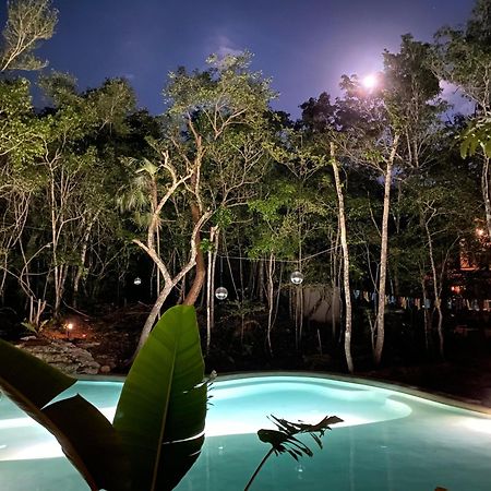 图卢姆 Casa Arkaana Eco Retreat酒店 外观 照片